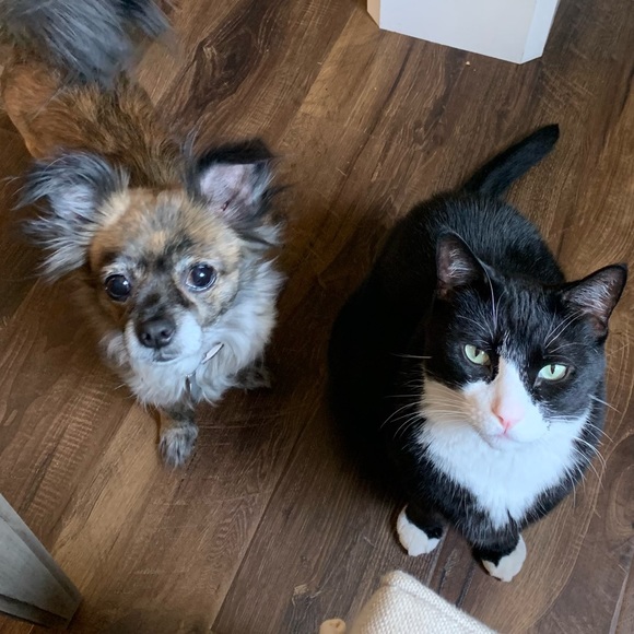 People best friends - Picture 1 of 1